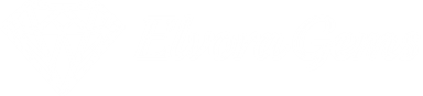 Elvora Gems